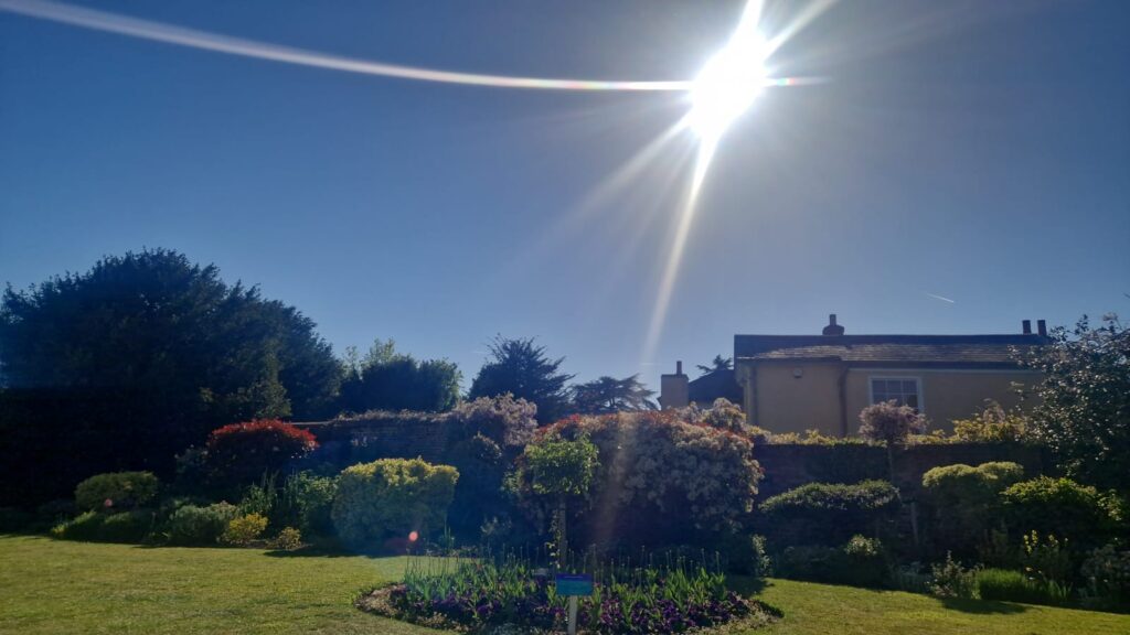 Landscape photo of John Innes Park showing shrubs and flowers, and a bright sun with lens flare